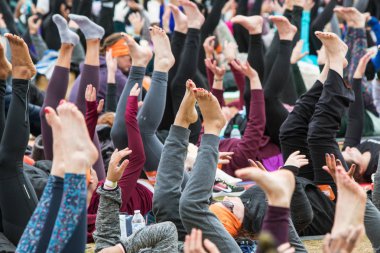 Atlanta, Ga, Amerika Birleşik Devletleri - 8 Nisan 2018: onlar Piedmont Park büyük grup yoga sınıfında 8 Nisan 2018 üzerinde Atlanta, Ga içinde yer almak gibi düzinelerce insan bacaklar ve ayaklar havaya genişletmek.
