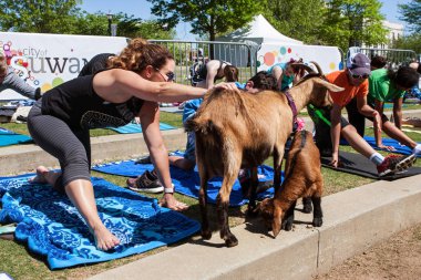 Suwanee, Ga, Amerika Birleşik Devletleri - 29 Nisan 2018: Bir kadın bir keçi keçi yoga sınıfı genel bir parkta üzerinde 29 Nisan 2018 Suwanee, GA sırasında germe Evcil hayvan. 