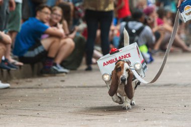 Atlanta, Ga, Usa - 18 Ağustos 2018: Sevimli bir basset tazı Doggy Con, köpekler ve sahiplerinin kostüm giymek ve ödüller için değerlendirilen bir olay yanıp sönen ışıkları ile bir ambulans kostüm giyen kalabalık için yürüyor, Ağustos'ta 18, 2018 Atlanta, 