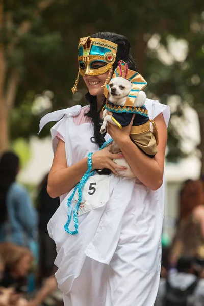 アトランタ ジョージア州 アメリカ合衆国 2018 古代として服を着た若い女性エジプトを運ぶ犬コン 犬と飼い主は衣装を着るし 2018 日アトランタ ジョージア州 賞品判断されるイベントでファラオに扮した彼女の小さな犬 — ストック写真