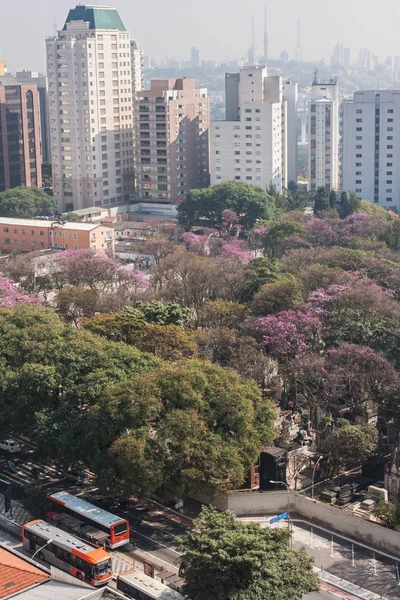 Perspectiva elevada muestra edificios y árboles en Sao Paulo Brasil — Foto de Stock