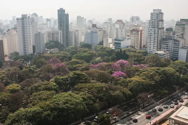 Vista Elevada muestra edificios y árboles en Sao Paulo Brasil — Foto de Stock