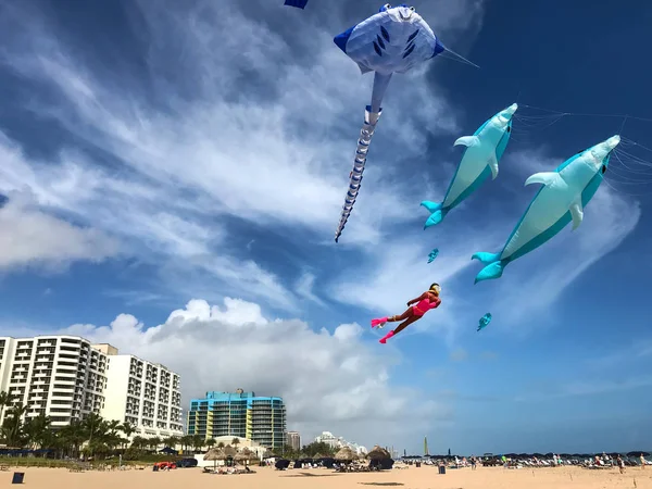 Interessante vida marinha pipas voar acima Fort Lauderdale Beach — Fotografia de Stock