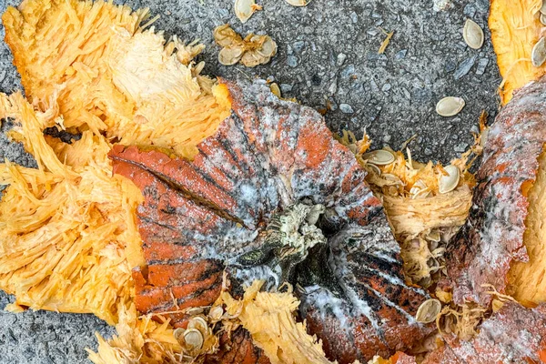 Cadılar Bayramı 'ndan sonra kaldırımda ezildikten sonra parçalanmış yumuşak, çürüyen bir balkabağının yakın çekimi..