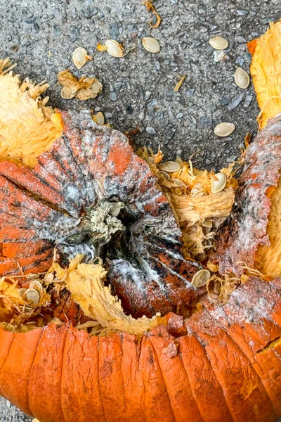 Dikey çekim, Cadılar Bayramı 'ndan sonra kaldırımda ezildikten sonra parçalanmış yumuşak, çürüyen bir balkabağının yakın çekimini gösteriyor..
