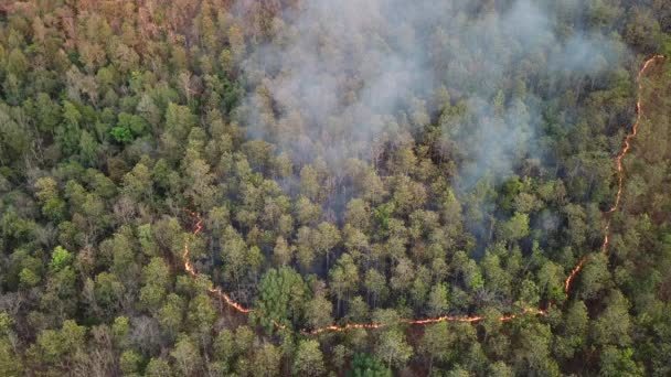 Wildfire Burning Forest Vista Aérea Por Encima — Vídeo de stock
