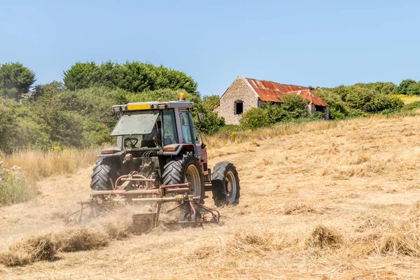 Traktor Memotong Rumput Ladang Yang Sangat Kering — Stok Foto