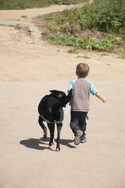 Küçük çocuk bir köpek ile yürüyüş 