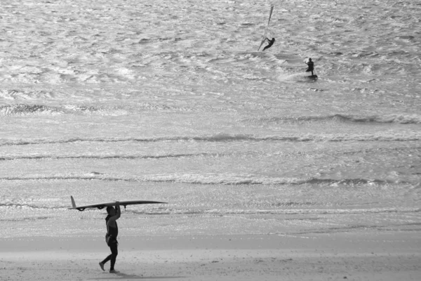 Sahilde sörfçüler