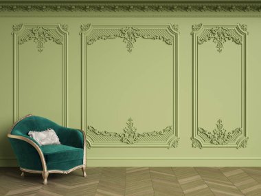 Kopya alanı ile klasik iç klasik koltuk. Yeşil Gama