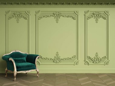 Kopya alanı ile klasik iç klasik koltuk. Yeşil Gama