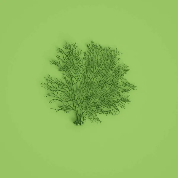 Zielona rzeźba z węglem morskim na pastelowych zielonych tle. rend 3D — Zdjęcie stockowe