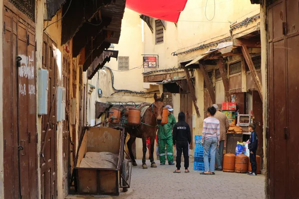 Gaz Şişesi Taşıyan Fez Fas Fotoğrafı Yazan Canon Eos M10 — Stok fotoğraf