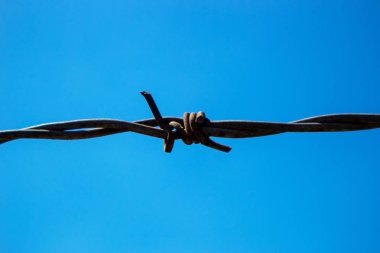 Mavi gökyüzü arka planında dikenli tel.