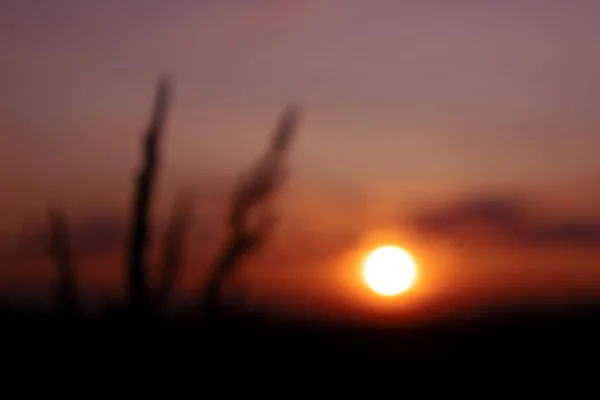 抽象的な夕日ライトの背景テクスチャ 暗い紫色の空に太陽をぼかす — ストック写真