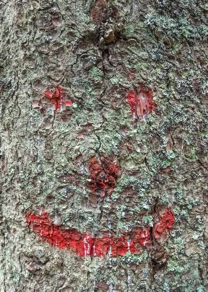 Bir Ağacın Kabuğu Üzerinde Gülen Yüz — Stok fotoğraf