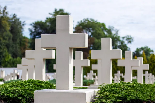 Many identical white crosses on the cemetery.