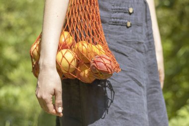 Woman carries in a knitted bag fresh ripe fruits of peaches and apricots. Close-up. clipart