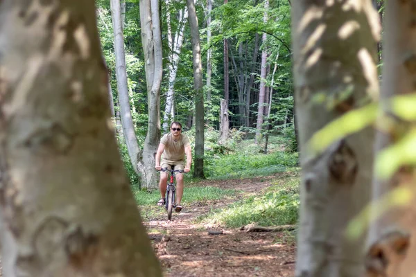 A young man rides a bicycle through a forest. Photo through trees.