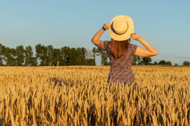 Elbise ve hasır şapkalı bir kız buğday tarlasında yürüyor. Arkadan görüntüle.