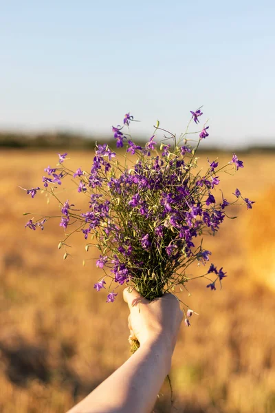 Zbliżenie Kobiet Gospodarstwa Bukiet Fioletowy Dzikie Kwiaty Tle Pola Pszenicy — Zdjęcie stockowe