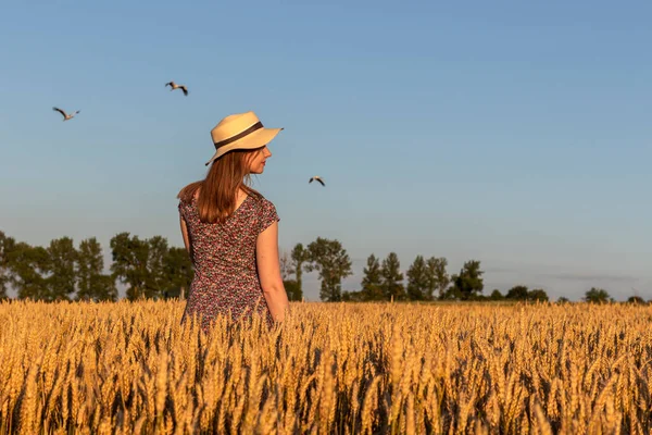 Girl Dress Straw Hat Walks Wheat Field View Back — Stock Photo, Image