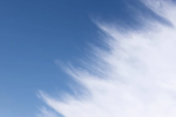 Yırtık Kenarlı Açık Beyaz Bulut Mavi Gökyüzünde Süzülür — Stok fotoğraf