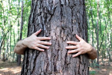 Erkek eller ağaç gövdesine sarılıyor. Gezegeni kurtarın ve orman yok etme kavramını durdurun..