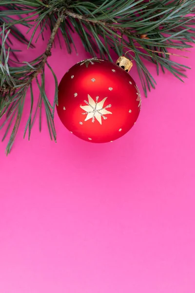 Vánoční Strom Větev Červenou Výzdobou Růžovém Pozadí Pohled Shora Byt — Stock fotografie
