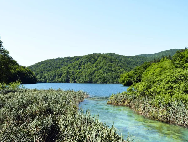 Göller Arasında Kristal Berraklığında Akışı Plitvice Gölleri Ulusal Parkı Hırvatistan — Stok fotoğraf