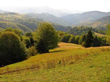 Vadinin panoramik manzarası, Karpat dağları, Ukrayna. Yatay açık çekim