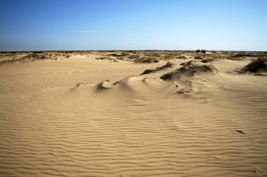 Avrupa 'nın en büyük çölü olan Ukrayna' nın Kherson bölgesinde mavi gökyüzünde Oleshky Sands
