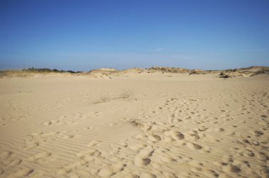 Avrupa 'nın en büyük çölü olan Ukrayna' nın Kherson bölgesinde mavi gökyüzünde Oleshky Sands