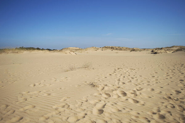 Олешские пески на голубом небе в Херсонской области Украины, крупнейшей пустыне Европы
