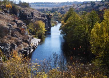 Sarı ve portakal ağaçları arasında sonbahar ormanı manzarası, doğanın güzelliği..