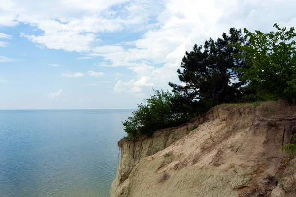 乌克兰第聂伯河粘土悬崖上生长的松树 — 图库照片