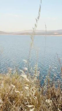 Muhteşem gün batımı İspanya 'nın büyüleyici Salvatierra de Tormes köyüne sıcak altın ve turuncu renkler döküyor.