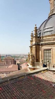 SALAMANCA, İspanya - 16 Ağustos 2025: Salamanca, İspanya 'daki tarihi Salamanca Üniversitesi, Avrupa' nın en eski üniversitelerinden biridir ve İspanyol Rönesans mimarisinin bir sembolüdür..