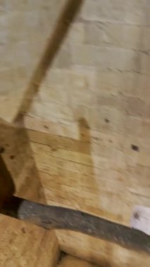 SALAMANCA, İspanya - 16 Ağustos 2025: Salamanca, İspanya 'daki tarihi Salamanca Üniversitesi, Avrupa' nın en eski üniversitelerinden biridir ve İspanyol Rönesans mimarisinin bir sembolüdür..