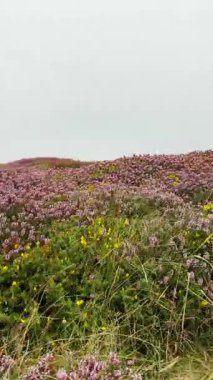 İspanya 'nın Asturias kentindeki dramatik Bufones de Pra hava deliklerini çevreleyen yemyeşil çimenler ve renkli kır çiçekleri kıyılardaki kayalara vuran dalgalarla birlikte..