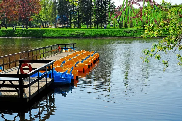 Water bike catamaran ride in the city summer park, clear sky.
