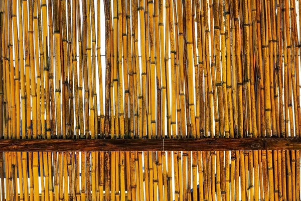 Bamboo House Plot Stylový Moderní Exkluzivní Nápad — Stock fotografie