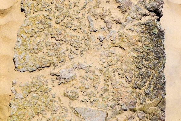 Песчаный Пляж Кусочки Сушеной Трости Каменная Стена — стоковое фото