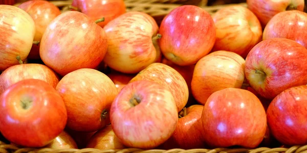Crop Apples Many Typical Ripe Apples Plastic Box Harvest Summer — Stock Photo, Image