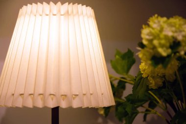 Beyaz Abajur renkli, dekoratif, elektrik, aydınlatma oluklu. Lamba soyut iç tasarımı. Çiçekler içinde belgili tanımlık geçmiş.