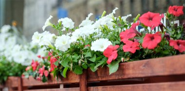 Farklı boyutlarda taş duvarlar duvar dokusu