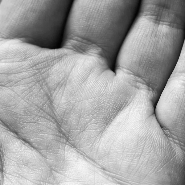 Close up human hand, the value of the lines on the palm textures, simian line