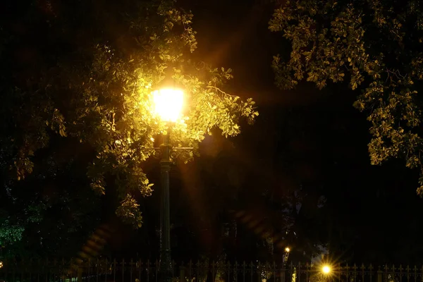 Gece Şehir Sokak Bokeh Renkli Arka Plan Karanlık Kavramı Işıklar — Stok fotoğraf