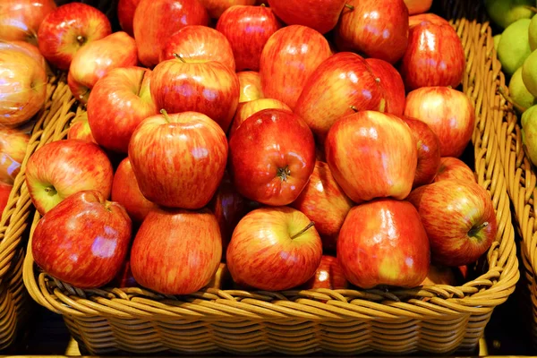 Crop of apples. Many typical ripe apples in a plastic box. Harvest this summer.