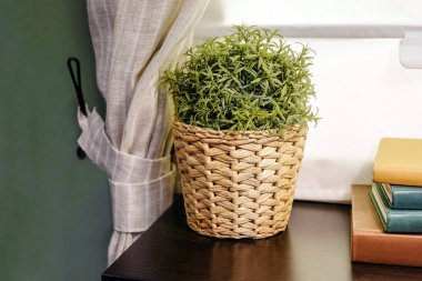 Office tablo kitapları ile. Pot. Karşı pencere perdeleri ile.